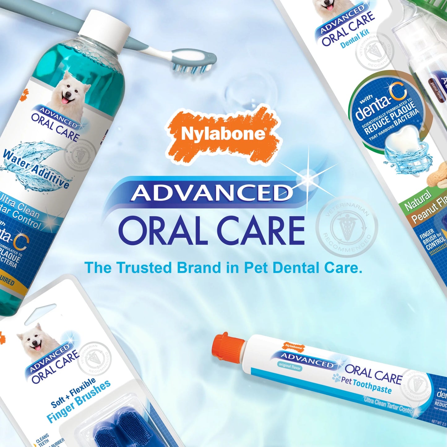 Advanced Oral Care Tartar Control Dog Toothpaste Original 2.5 Ounce (1 Count)