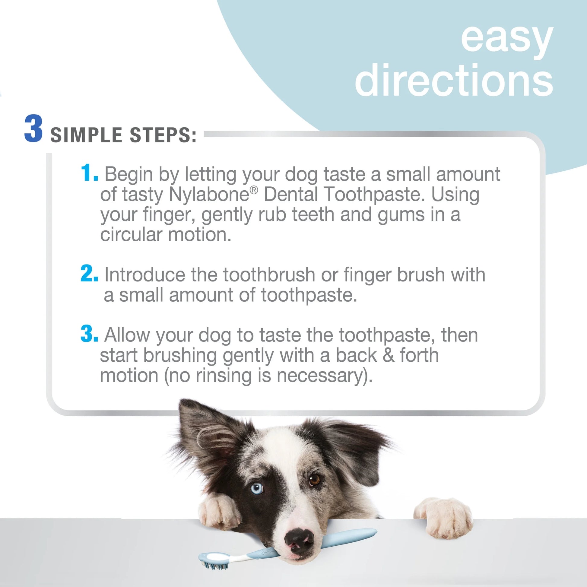 Advanced Oral Care Tartar Control Dog Toothpaste Original 2.5 Ounce (1 Count)