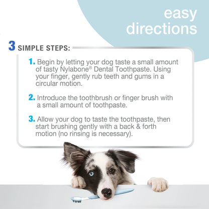 Advanced Oral Care Tartar Control Dog Toothpaste Original 2.5 Ounce (1 Count)